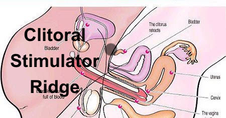 Penile enlargement costs clitoral ridge